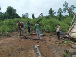 Misteri Dua Ekor Gajah Di Mukomuko, Organ Dalam  Diuji Laboratorium