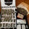 Kurang dari 12 Jam, Polres BS Ungkap Tiga Kasus Narkotika, Amankan 34 Paket Ganja