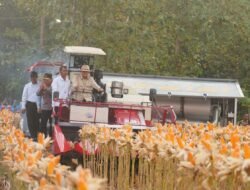 Panen Raya di Tuban, Presiden Prabowo Apresiasi Peran Polri Wujudkan Ketahanan Pangan Nasional