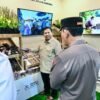 Panen Raya Jagung Bersama Presiden Prabowo, Petani Optimistis Swasembada Pangan Tercapai